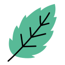 naturaleza icon