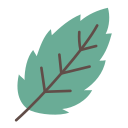 naturaleza icon