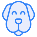 개 icon