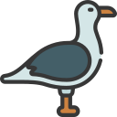 pájaro icon