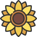 flores icon