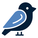 pájaro icon