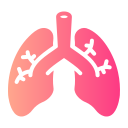 pulmones icon