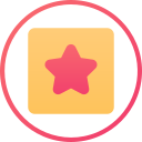 estrella icon