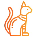 Gato icon