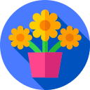 Girasoles icon