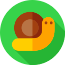 Caracol icon