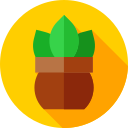 Planta icon