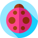 Mariquita icon