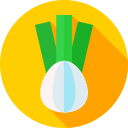 Cebolla icon