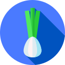 Cebolla icon