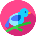 Pájaro icon