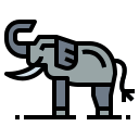 Elefante icon