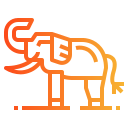 Elefante