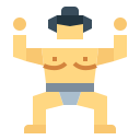 Sumo icon