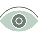 ojo icon