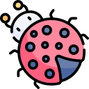 Ladybug icon