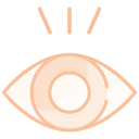 ojo icon