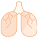 pulmones icon