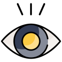 ojo icon