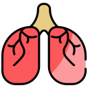 pulmones icon