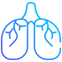 pulmones icon