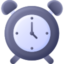 reloj icon