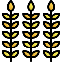 trigo icon