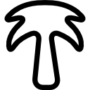 palmera icon