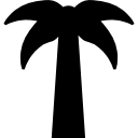 palmera simétrica icon