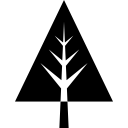 Pine tree icon