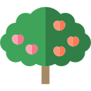 árbol de manzana icon