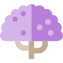 jacaranda icon