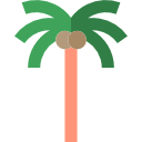 palmera icon