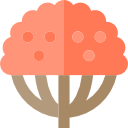 Árbol icon