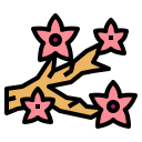 Sakura 
