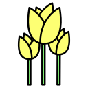 tulipanes icon