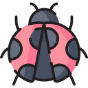 무당벌레 