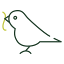 pájaro icon