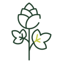 flor de primavera icon