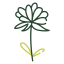 flor de la flor icon