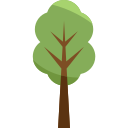 Árbol icon