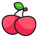 fruta icon