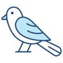 pájaro icon