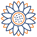 girasol icon