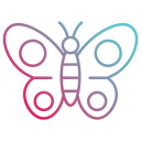 mariposa icon