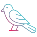 pájaro icon