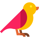 Pájaro icon