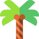 Palmera icon