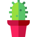 Cactus icon